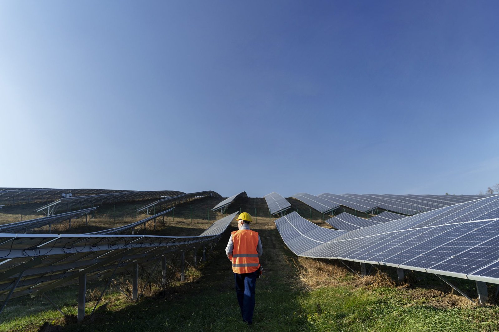 Renewable Industry